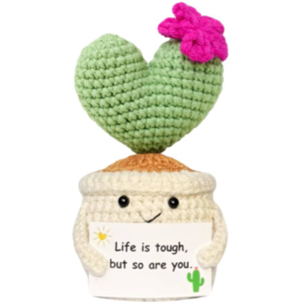 Cactus de crochet hecho a mano para parejas.